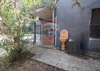 Giardino - Trilocale Via Antonino Di Sangiuliano
 
139, Catania - foto 36