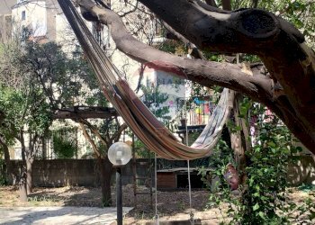 Giardino - Trilocale Via Antonino Di Sangiuliano
 
139, Catania - foto 38