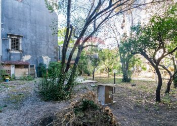 Giardino - Trilocale Via Antonino Di Sangiuliano
 
139, Catania - foto 27