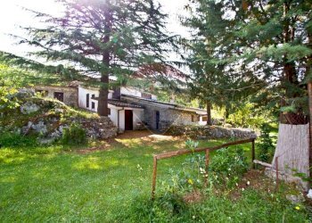 Giardino - Loft Formia - foto 12