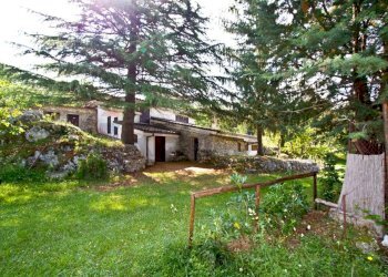 Giardino - Loft Formia - foto 14