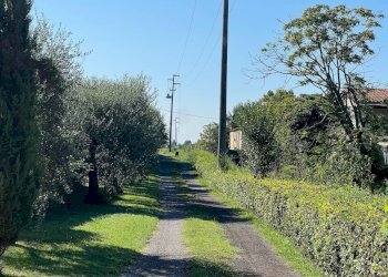 Foto 8 - Villa a Schiera via cialdini
 
1, San Giuliano Terme - foto 8