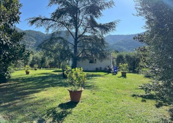 Foto 11 - Villa a Schiera via cialdini
 
1, San Giuliano Terme - foto 11