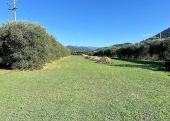 Foto 13 - Villa a Schiera via cialdini
 
1, San Giuliano Terme - foto 13