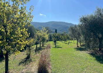 Foto 18 - Villa a Schiera via cialdini
 
1, San Giuliano Terme - foto 18