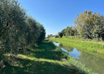 Foto 19 - Villa a Schiera via cialdini
 
1, San Giuliano Terme - foto 19