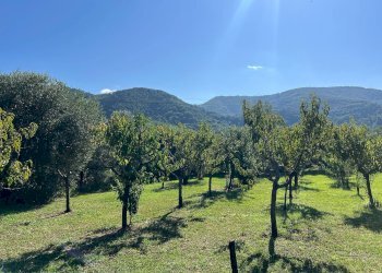 Foto 20 - Villa a Schiera via cialdini
 
1, San Giuliano Terme - foto 20