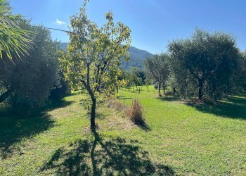 Foto 21 - Villa a Schiera via cialdini
 
1, San Giuliano Terme - foto 21