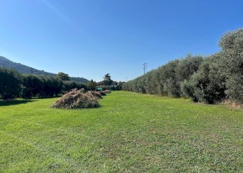 Foto 22 - Villa a Schiera via cialdini
 
1, San Giuliano Terme - foto 22