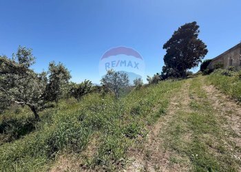 Non correlato - Terreno agricolo Via caposcale, Valderice - foto 9