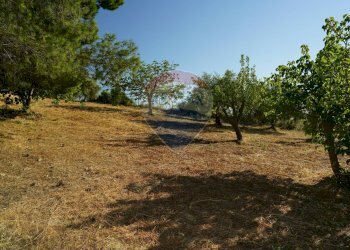 Giardino - Rustico Strada vicinale Risicallà Vallata lunga
 
snc, Enna - foto 20