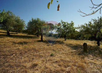 Giardino - Rustico Strada vicinale Risicallà Vallata lunga
 
snc, Enna - foto 21