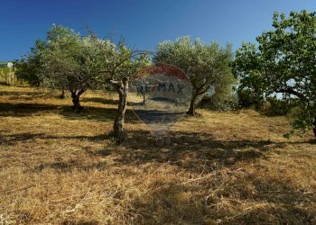 Giardino - Rustico Strada vicinale Risicallà Vallata lunga
 
snc, Enna - foto 22