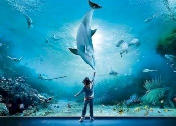 Foto 5 - Hotel Via Di Sottoripa
 
3, Genova - foto 5