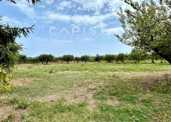 Foto 15 - Casa indipendente Contrada Casone, Ortona - foto 15