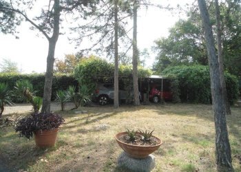 Giardino - Villa via degli Scalini, Bologna (zona Colli) - foto 7