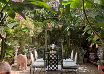 patio - Trilocale vicolo Savelli, 20, Roma (zona Centro Storico) - foto 14