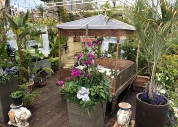 patio - Trilocale vicolo Savelli, 20, Roma (zona Centro Storico) - foto 19