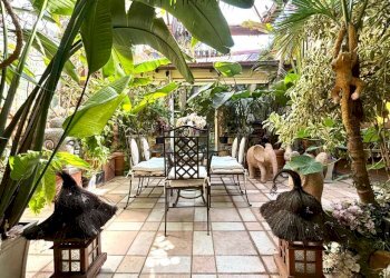 patio - Trilocale vicolo Savelli, 20, Roma (zona Centro Storico) - foto 24