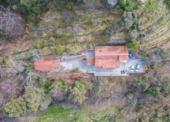 Villa Ventimiglia - foto 23