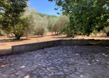 Appartamento Pitigliano - foto 5