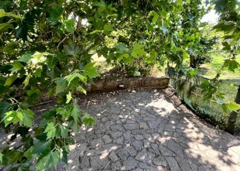 Appartamento Pitigliano - foto 36