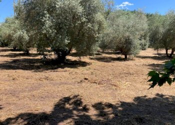 Appartamento Pitigliano - foto 38