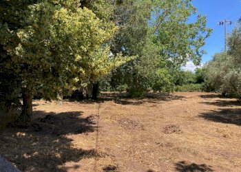 Appartamento Pitigliano - foto 39