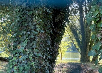 Terreno edificabile Via Faentina Nord, Russi - foto 8