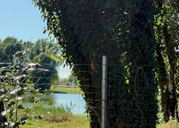 Terreno edificabile Via Faentina Nord, Russi - foto 9