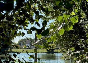 Terreno edificabile Via Faentina Nord, Russi - foto 10