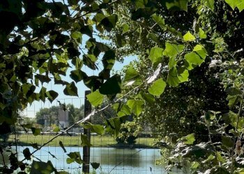 Terreno edificabile Via Faentina Nord, Russi - foto 11