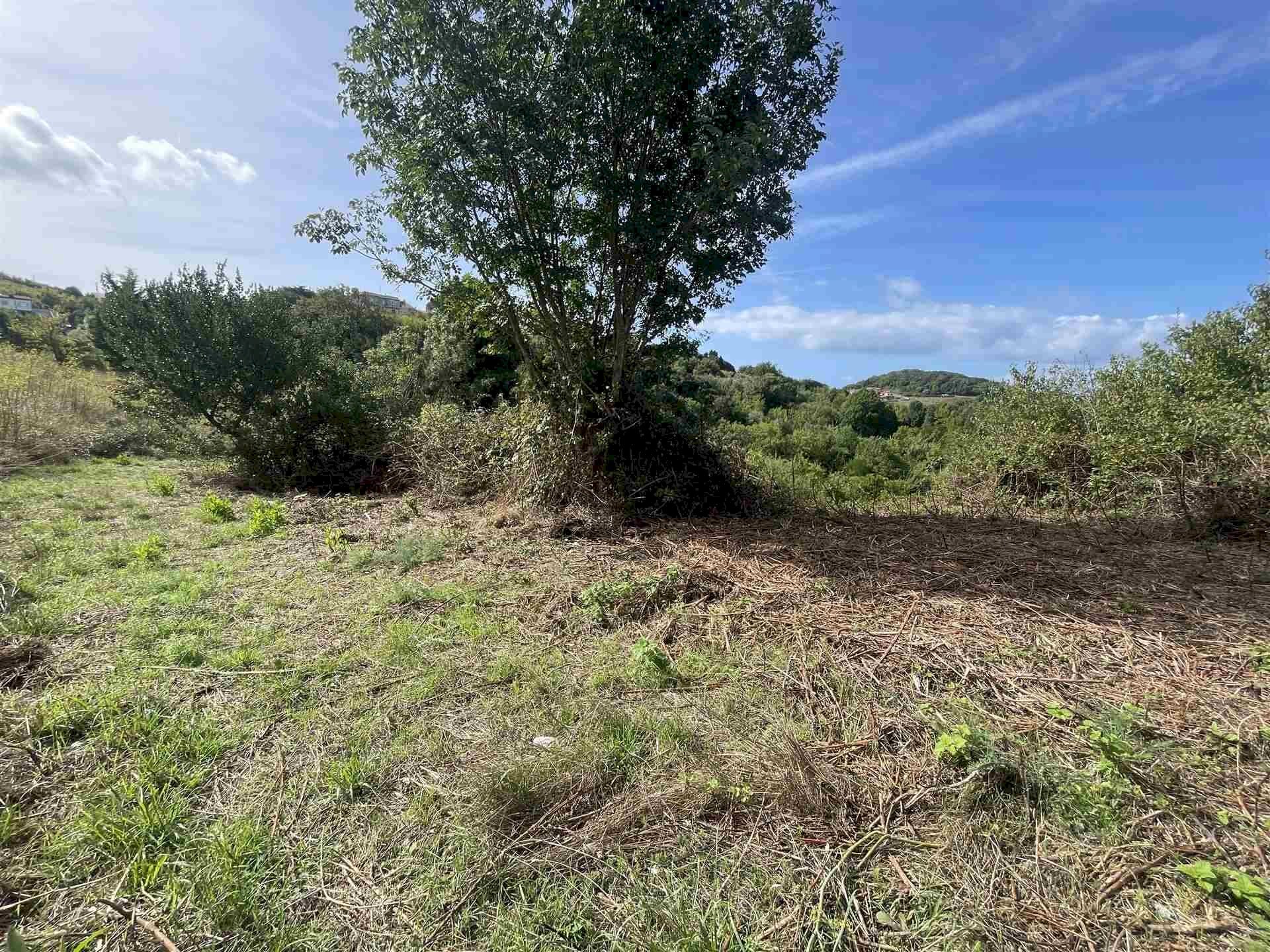 Terreno agricolo Rosignano Marittimo - foto 2