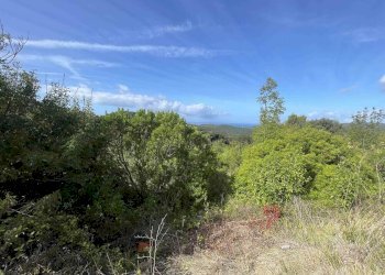Terreno agricolo Rosignano Marittimo - foto 1