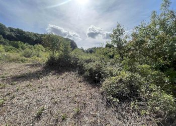 Terreno agricolo Rosignano Marittimo - foto 3