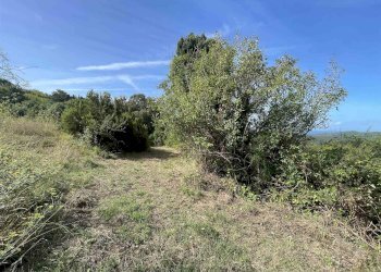 Terreno agricolo Rosignano Marittimo - foto 4