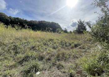 Terreno agricolo Rosignano Marittimo - foto 5