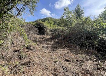 Terreno agricolo Rosignano Marittimo - foto 10