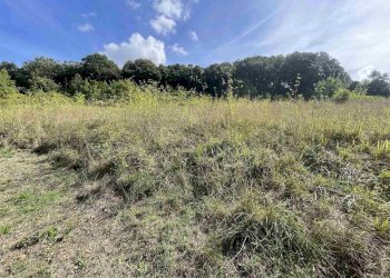 Terreno agricolo Rosignano Marittimo - foto 14