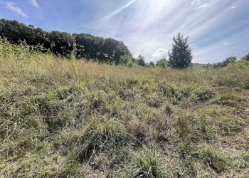 Terreno agricolo Rosignano Marittimo - foto 15