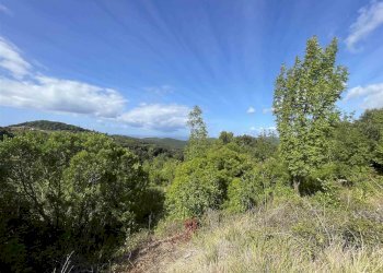Terreno agricolo Rosignano Marittimo - foto 17