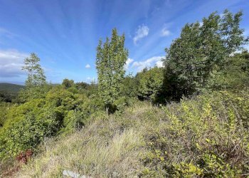 Terreno agricolo Rosignano Marittimo - foto 18