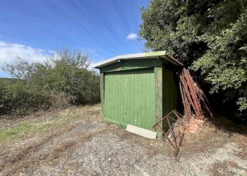 Terreno agricolo Rosignano Marittimo - foto 21