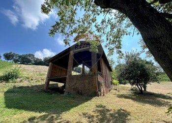 Rustic via Basilicata, 8 
 Savignano sul Panaro, Savignano sul Panaro - photo 5