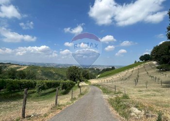 Rustic via Basilicata, 8 
 Savignano sul Panaro, Savignano sul Panaro - photo 26