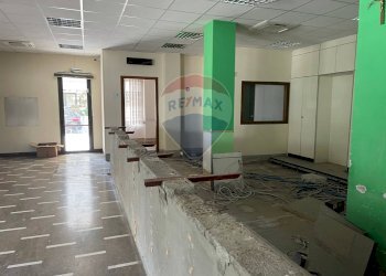 Negozio viale Buonarroti, 17 
 Valverde, Cesenatico - foto 14