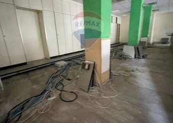 Negozio viale Buonarroti, 17 
 Valverde, Cesenatico - foto 41