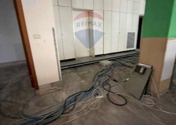 Negozio viale Buonarroti, 17 
 Valverde, Cesenatico - foto 42