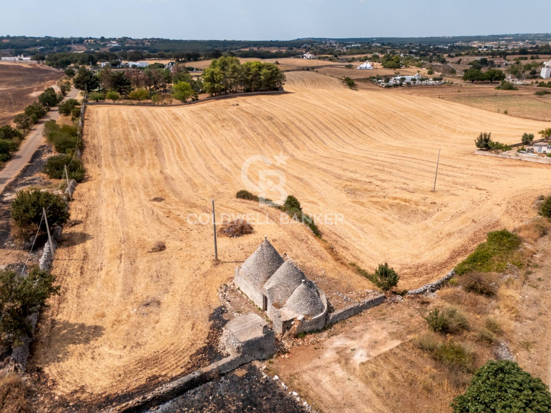 Foto 3 - Baita Strada Papa Domenico
 
sn, Martina Franca - foto 3