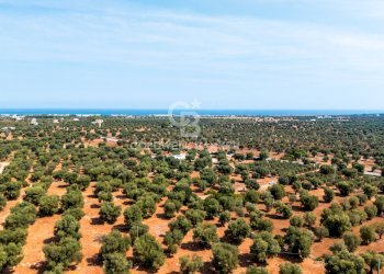 Foto 10 - Agricultural land Contrada Santa Varva
 
sn, Ostuni - photo 10